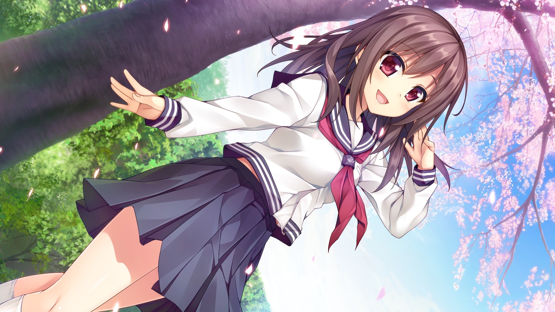 Image result for inochi no spare