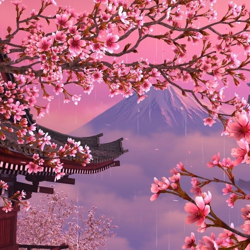 Sakura