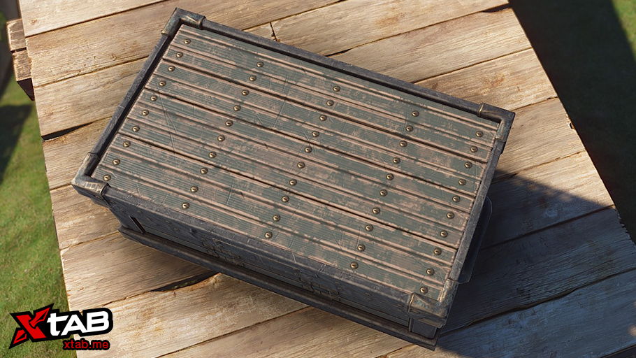 Leather Bound Trunk thumbnail 4