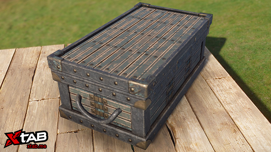 Leather Bound Trunk thumbnail 5
