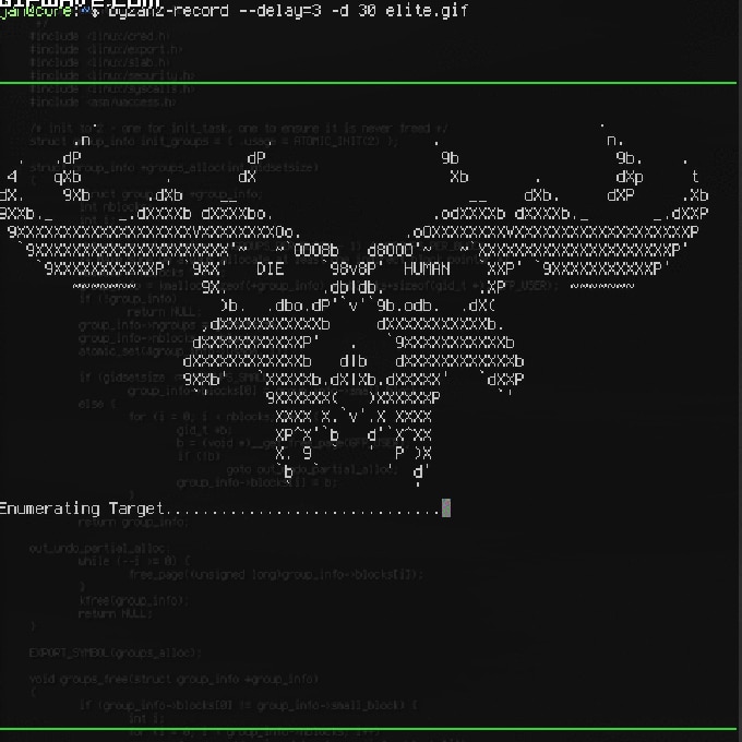 Hacker Screen