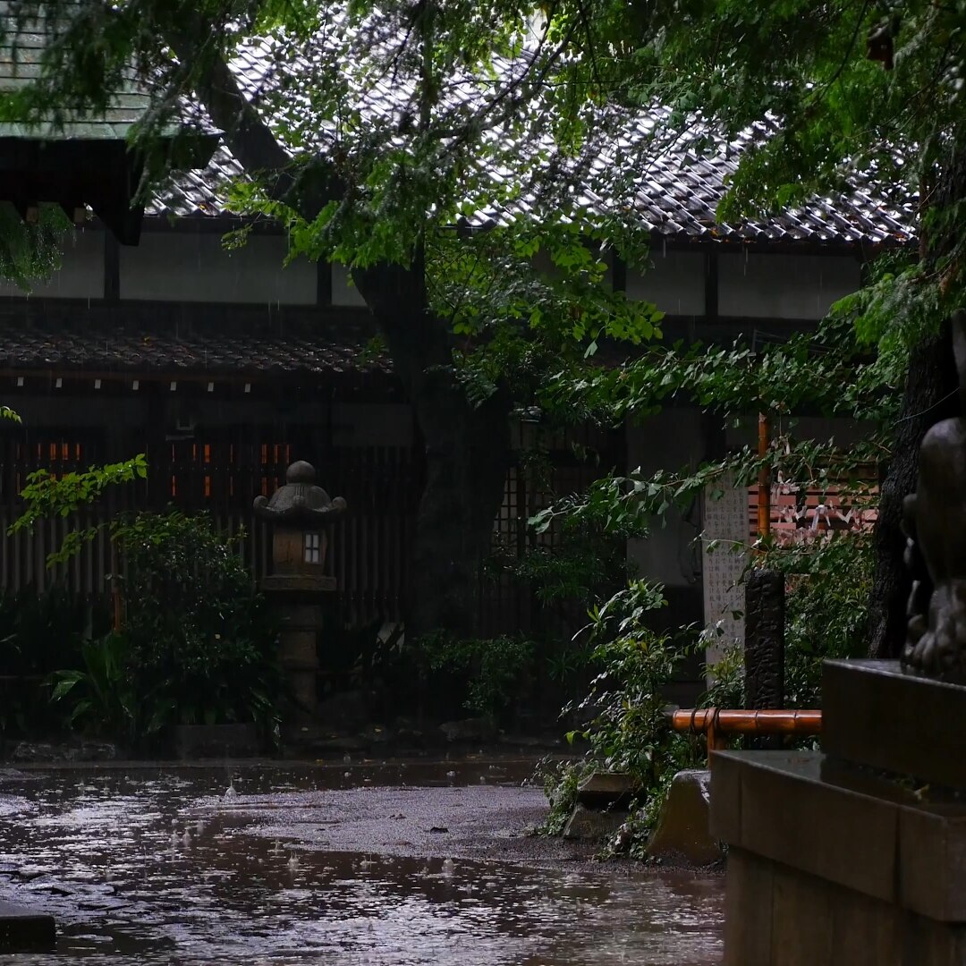 Raining in Tokyo - Japan [4K]