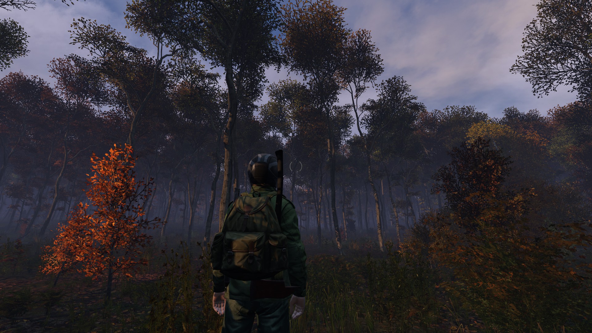 Dayz nl что это