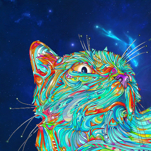 acid cat space