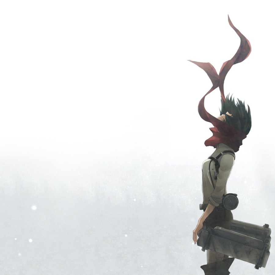 Mikasa Ackerman | Attack on Titan | Anime Girl
