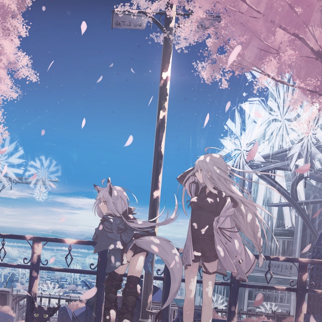 桜と風の国  凪白みと 1080P  樱花特效