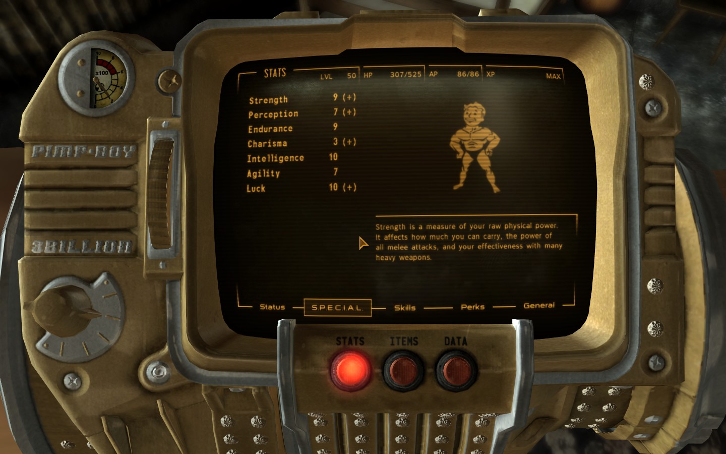 fallout New Vegas Max Skills & Max Perk & SPECIAL Guide all levels 