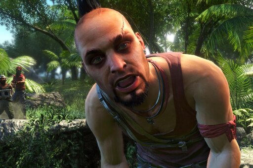 Far cry 3 что такое steam фото 59