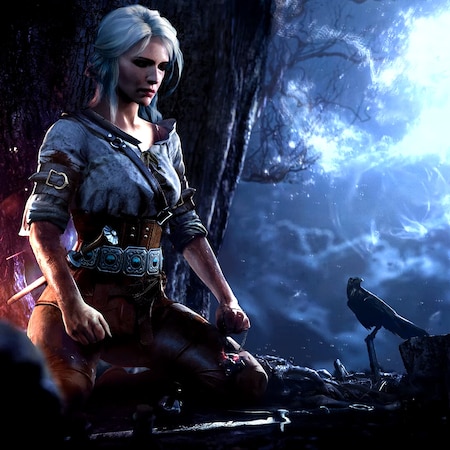 Witcher 3 | Ciri meditatation