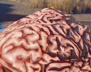 Fresh Brain screenshot 1