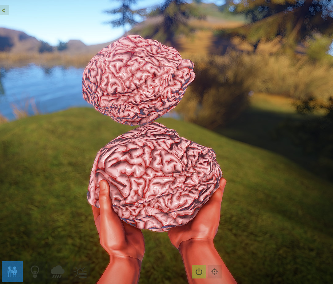 Fresh Brain thumbnail 4
