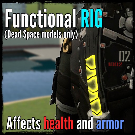 Functional RIG