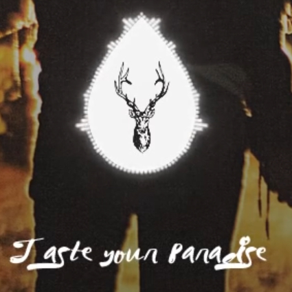 Steam Workshop Ed Sheeran I See Fire Kygo Remix