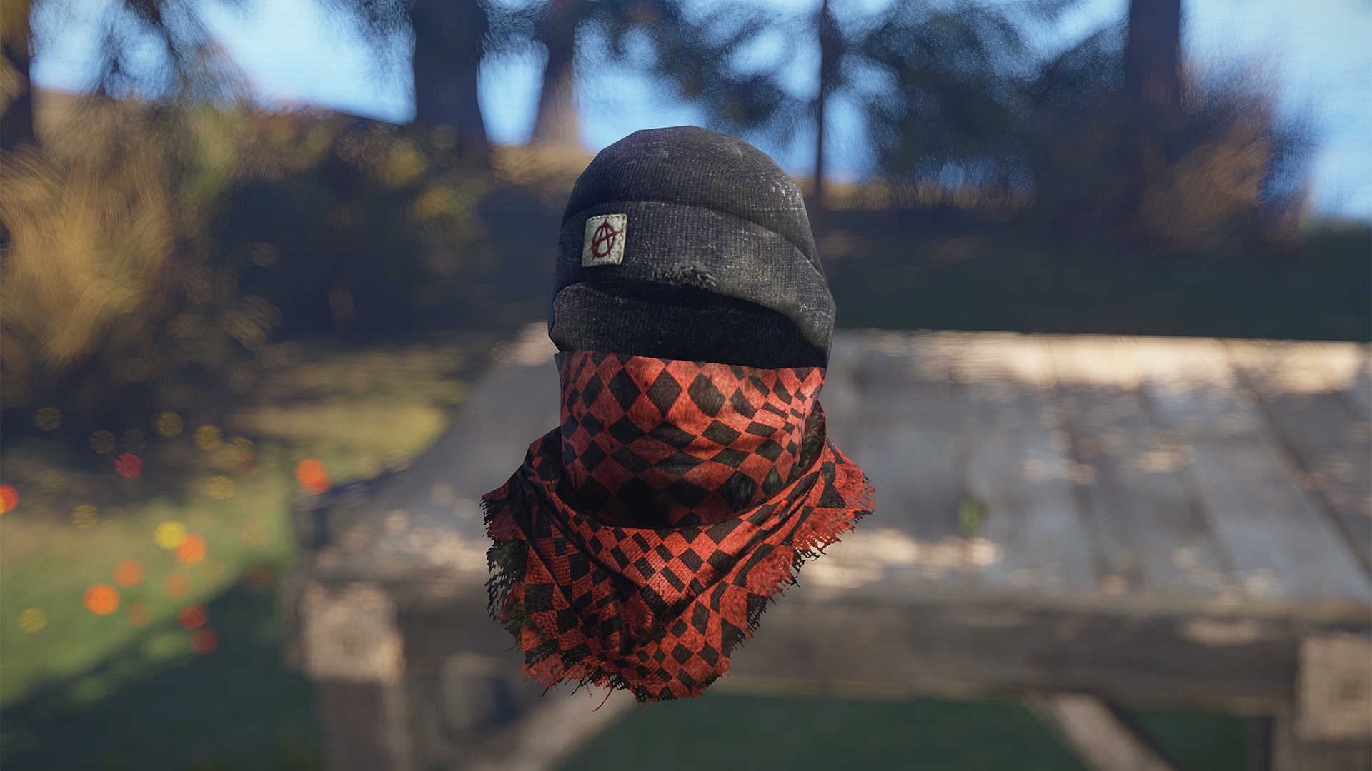 Anarchy screenshot 1