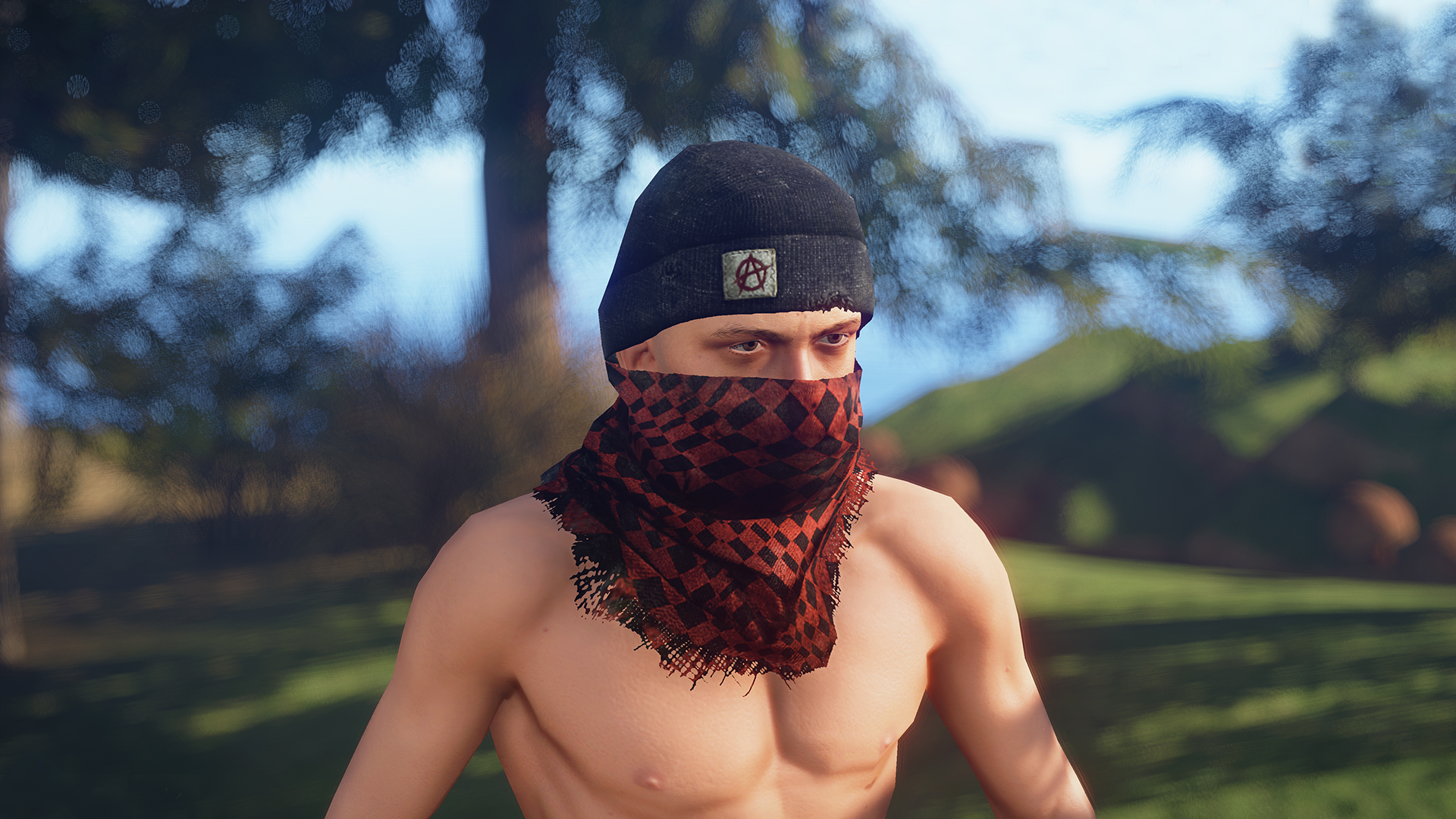 Anarchy thumbnail 2