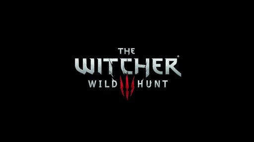 The Witcher 3 Wild Hunt название