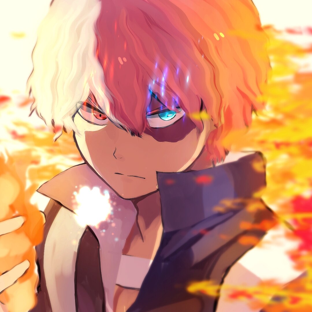 My Hero Academia Shoto