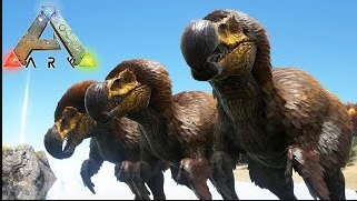 free download dododex ark