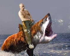 Comunidad Steam :: :: Putin on a shark