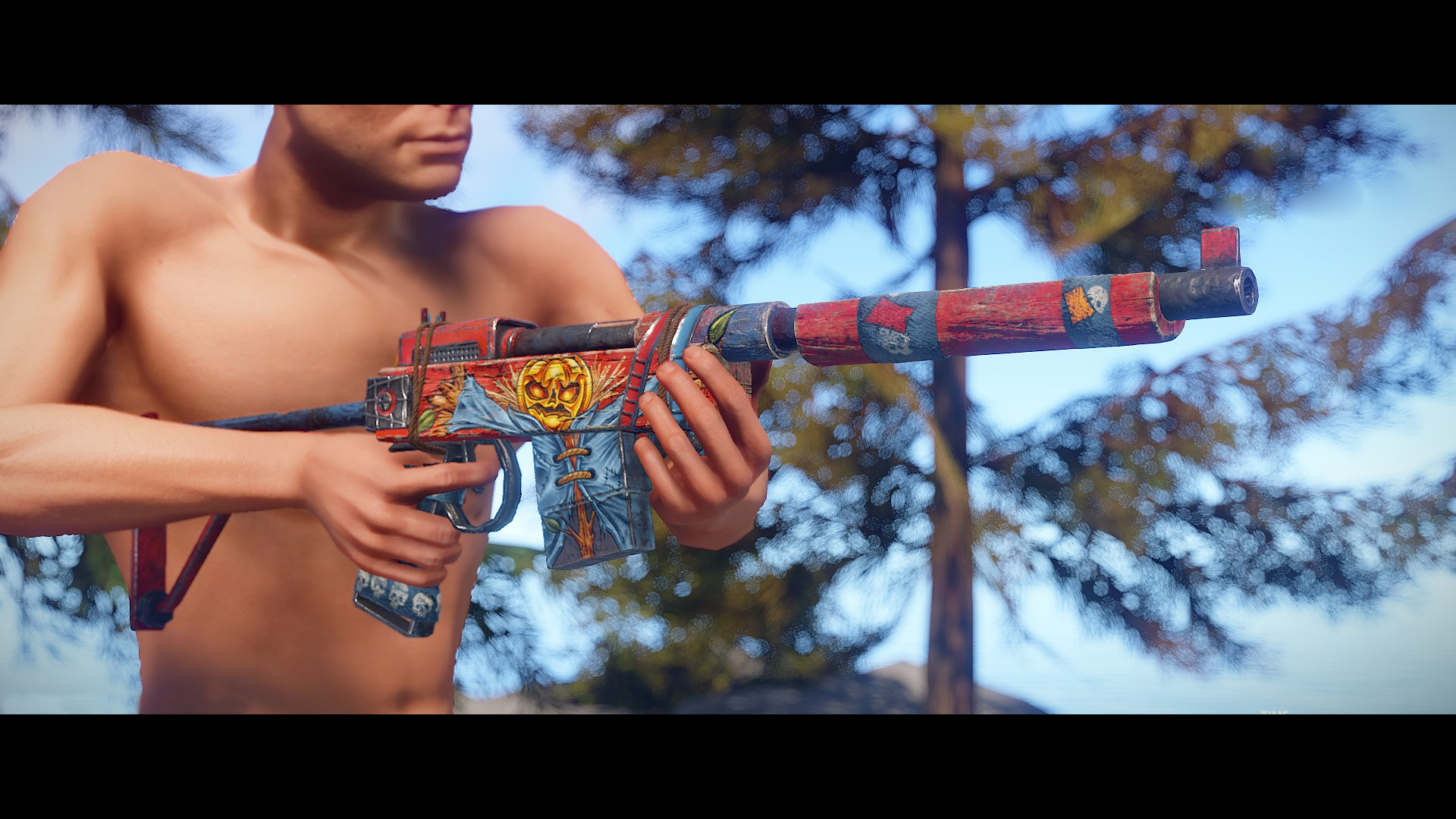 SAR Scarecrow screenshot 1