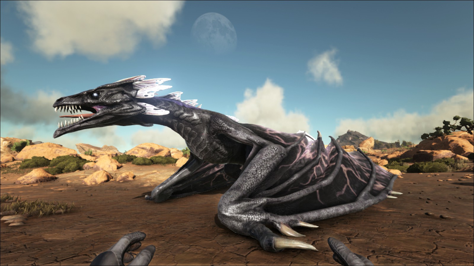 Rare / Eye Candy Wyvern Colors - General Discussion - ARK - Official  Community Forums