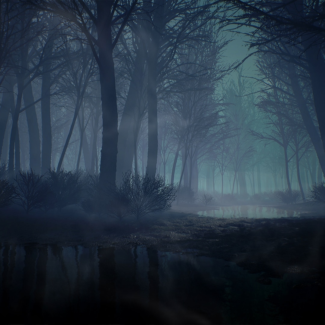 Creepy Woods