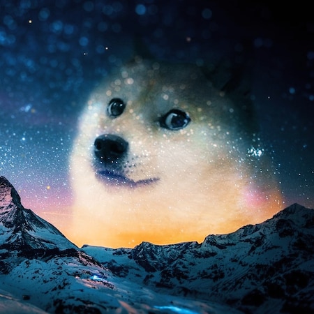 Doge | Wallpapers HDV