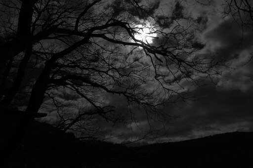 Красивые темные фото Красивые темные фото