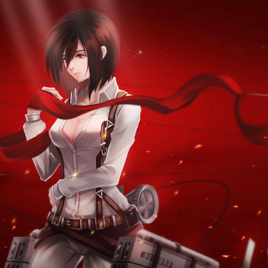 Shingeki no Kyojin - Mikasa Ackerman №2 [2256x1184]