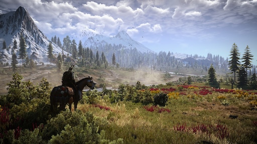The witcher 3 importing save фото 67