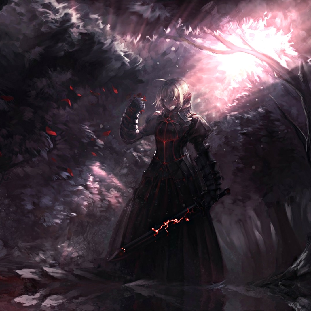 Fate/Stay Night Dark Saber | Wallpapers HDV