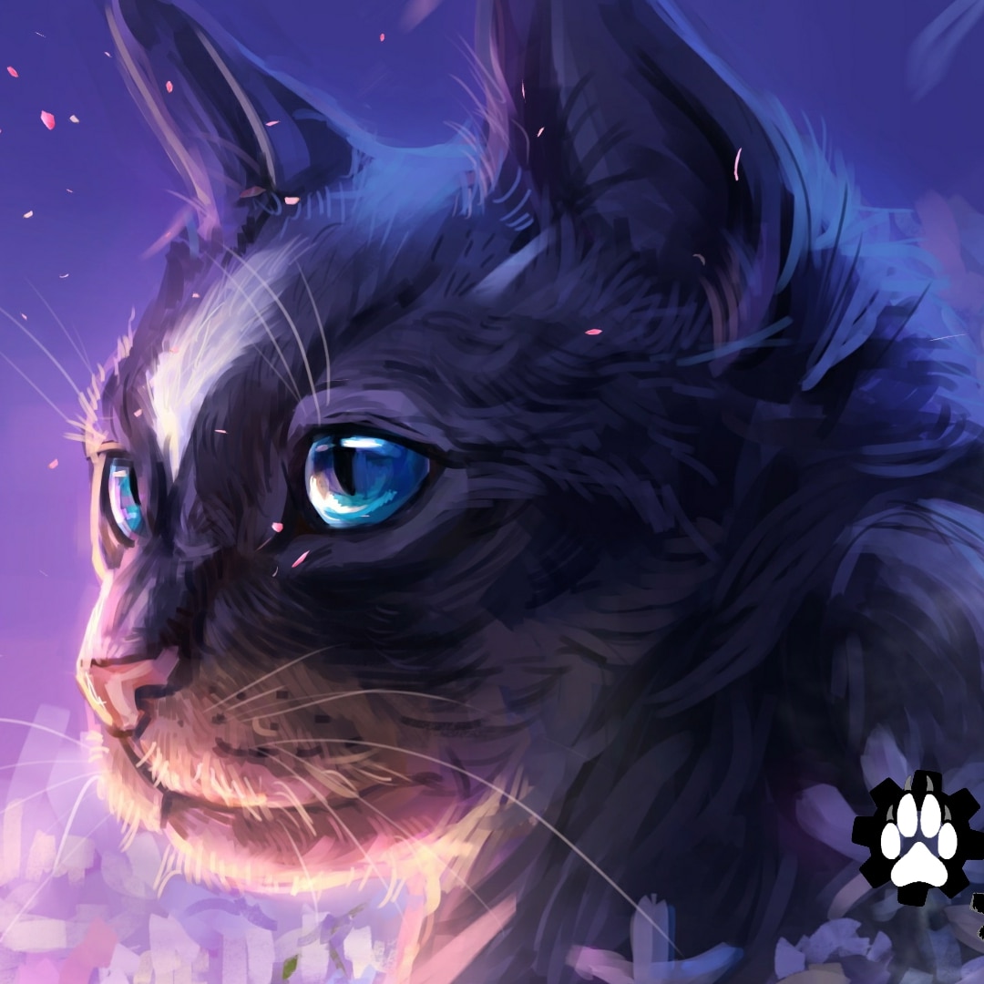 cat | Wallpapers HDV