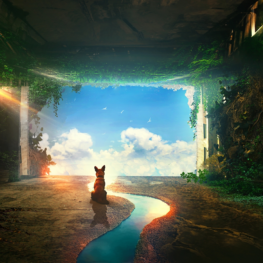 A Lonely Dog Wallpaper Engine