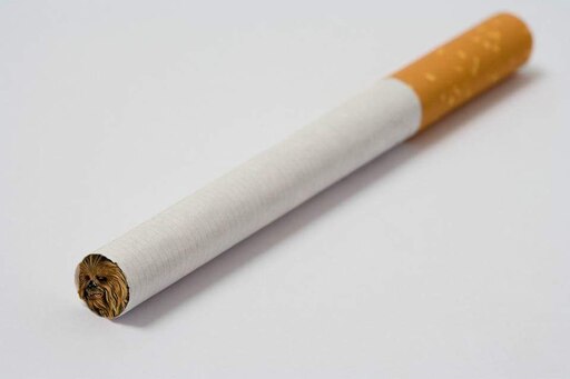 Как выглядит сигарета фото Как выглядит сигарета фото