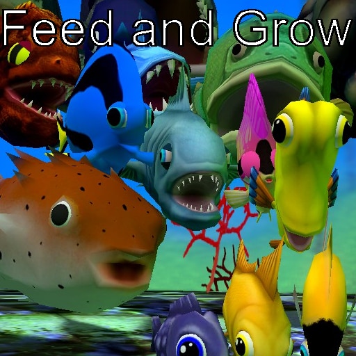 Feed and best sale grow fish videos