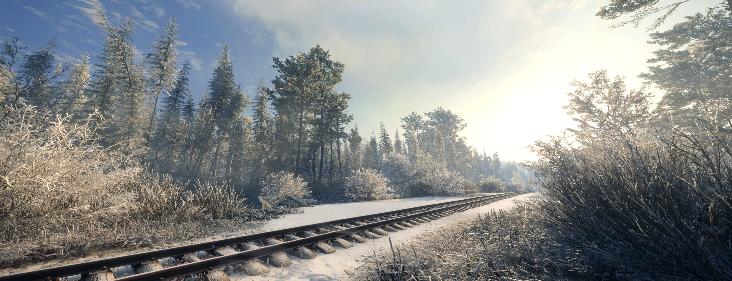 the wild case steam