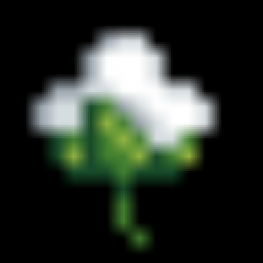 starbound dirt