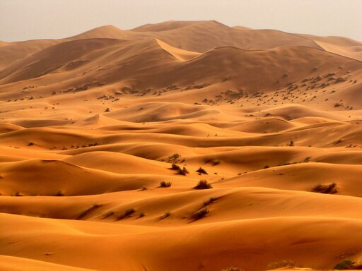 Неживая природа в пустыне. Пустыни Аравийского полуострова. Пустыня Такла Макан. Пустыня Нефуд. Эрг шебби Марокко.