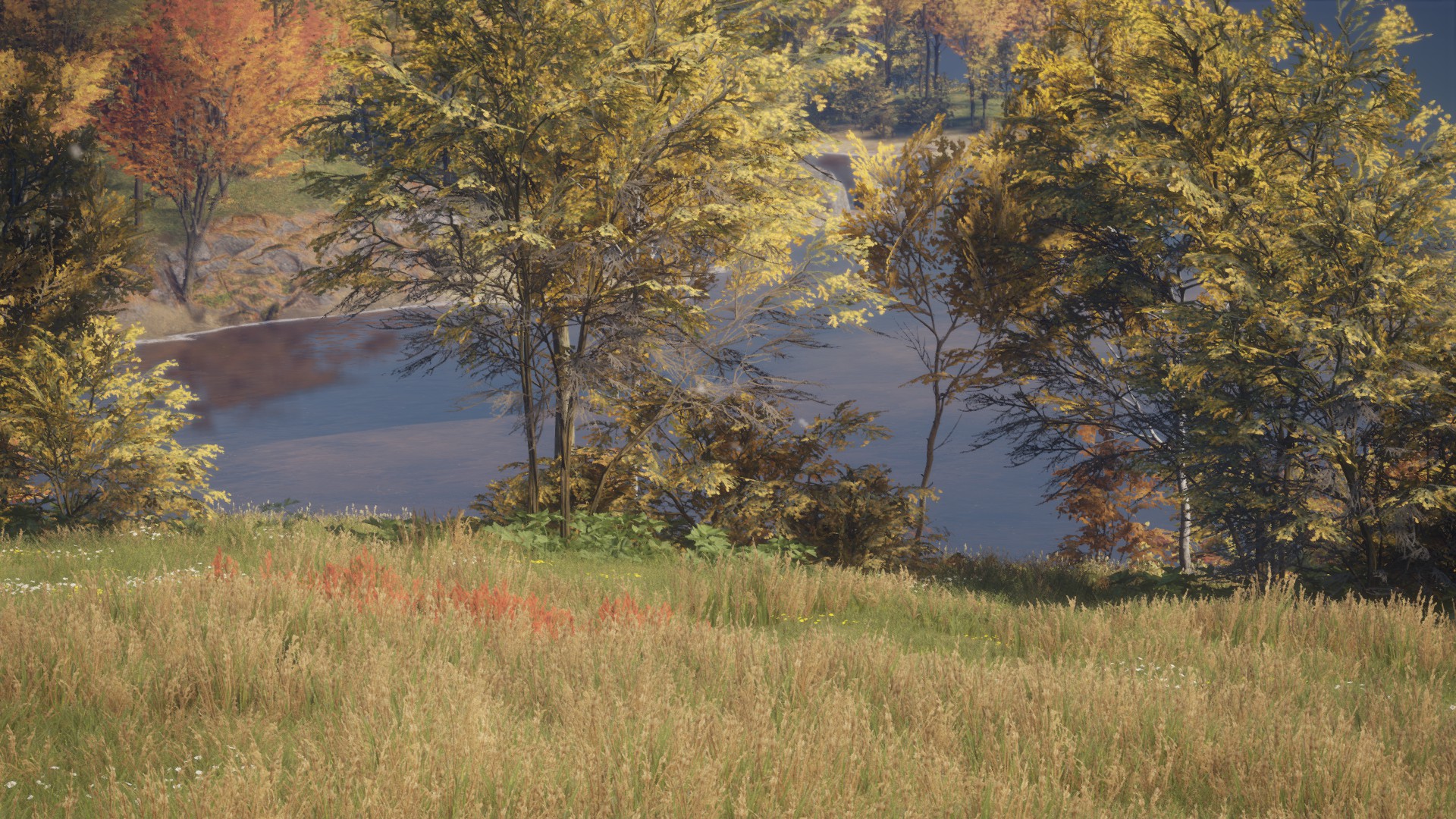 Steam Community Screenshot A beautiful fallow deer with the