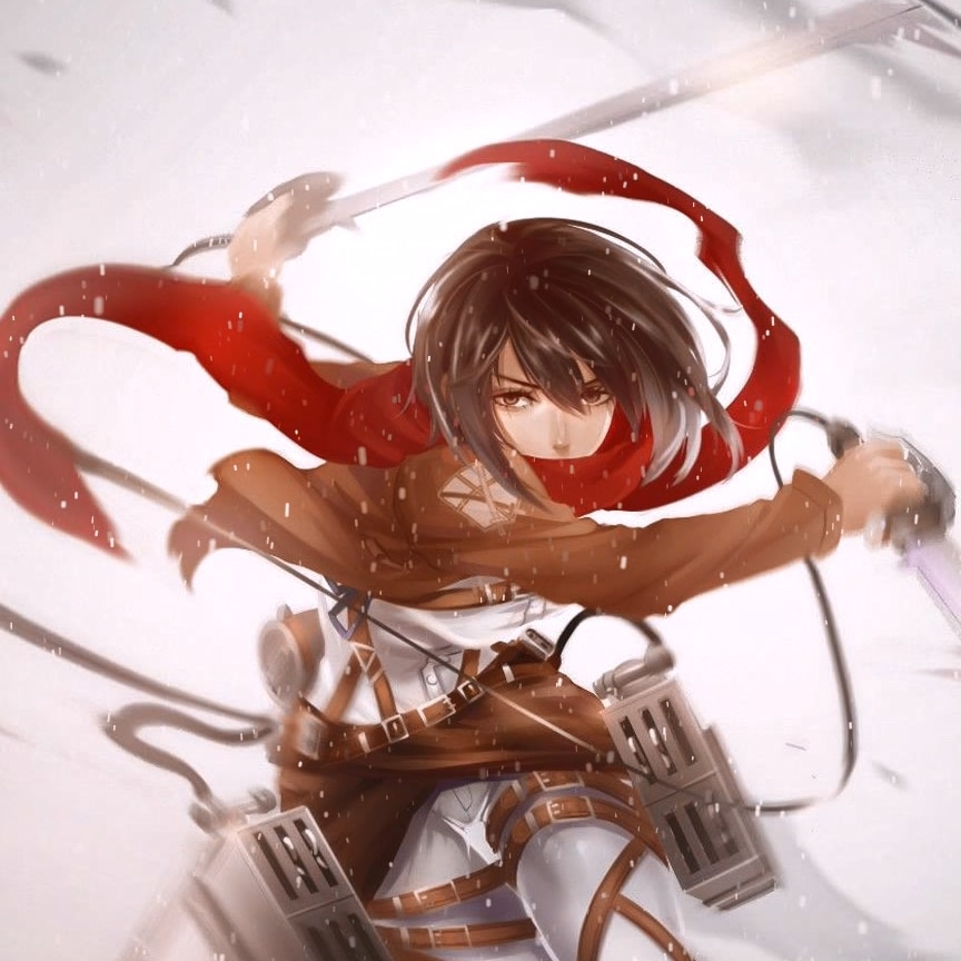 mikasa AOT