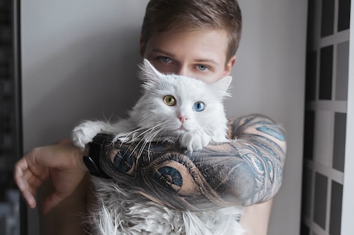 Котики мальчики фото Котики мальчики фото