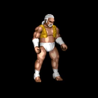 Steam Workshop::VGCW 6