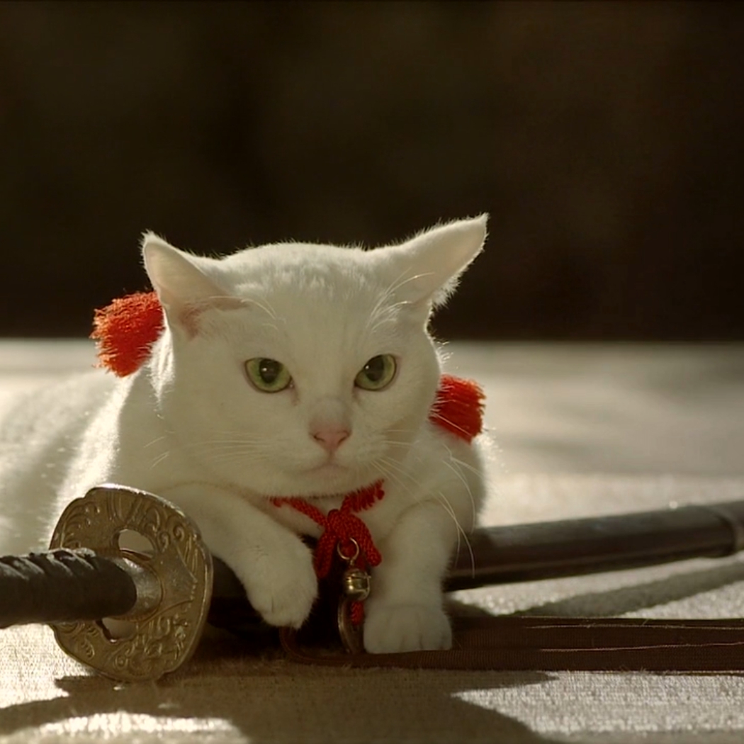 Steam Workshop 猫侍2op 7p无缝自用