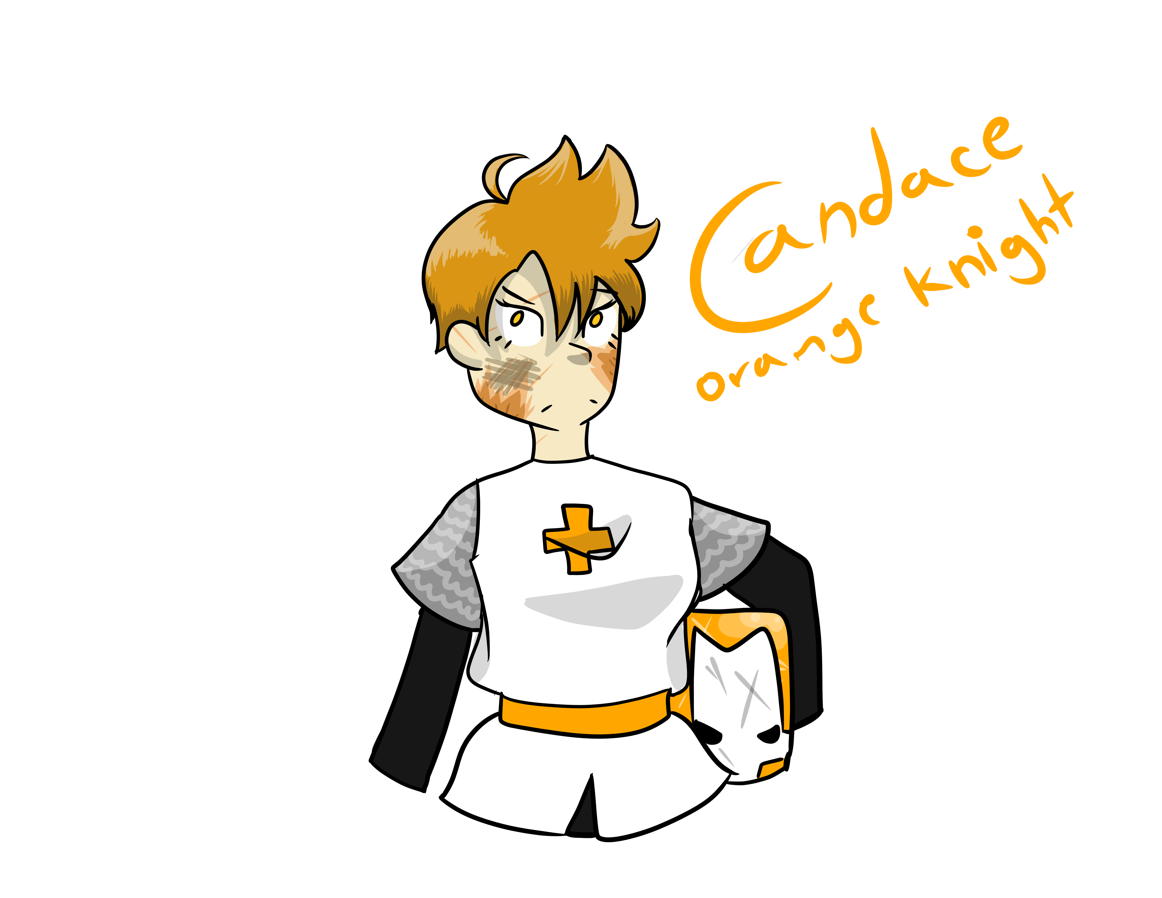 insane mode castle crashers