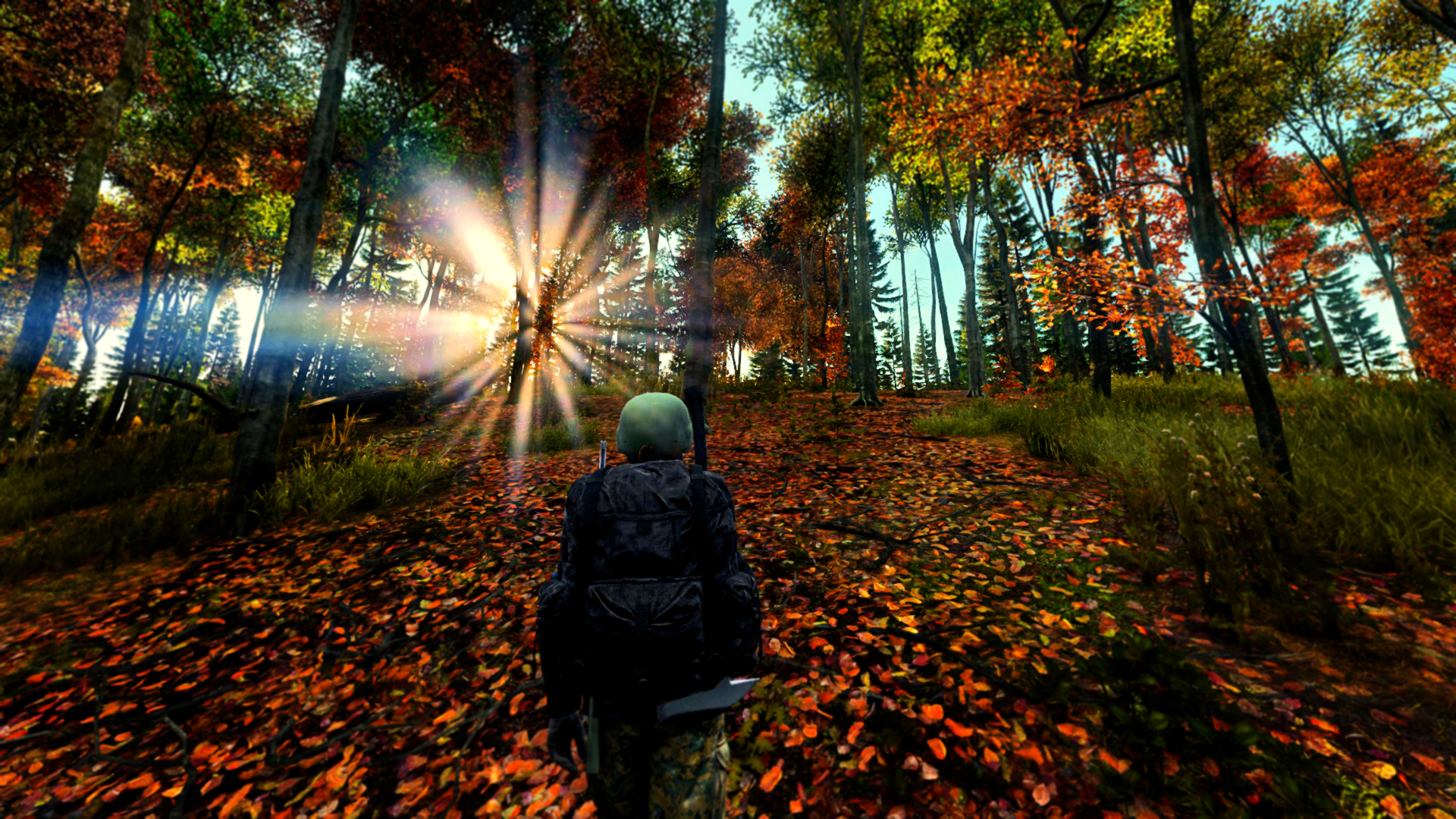 Dayz autumn что это