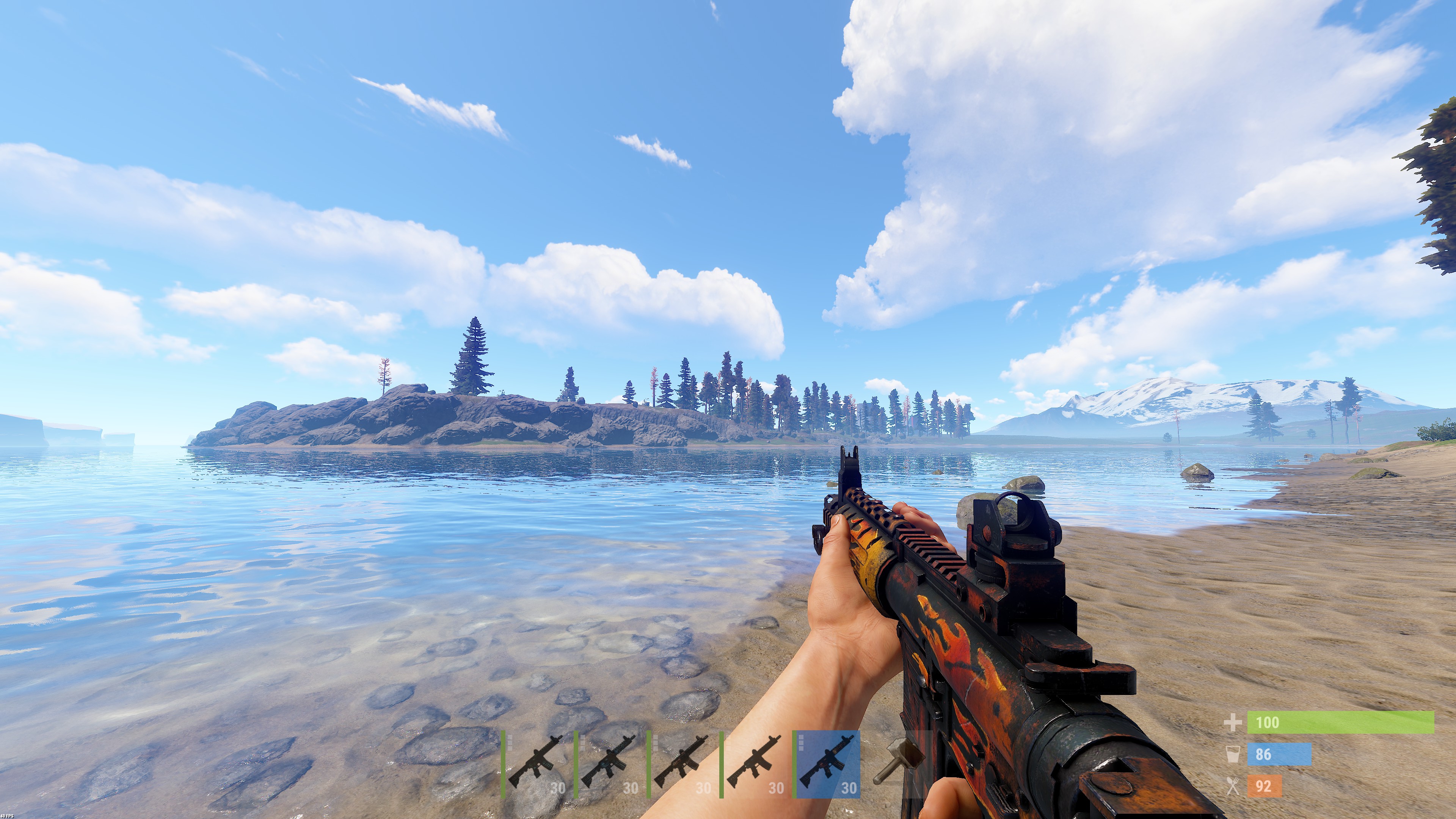 Wildfire LR-300 thumbnail 6