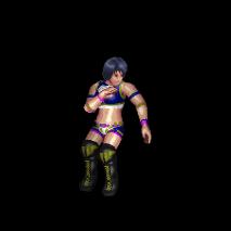 Steam 创意工坊 アイマス関連レスラー