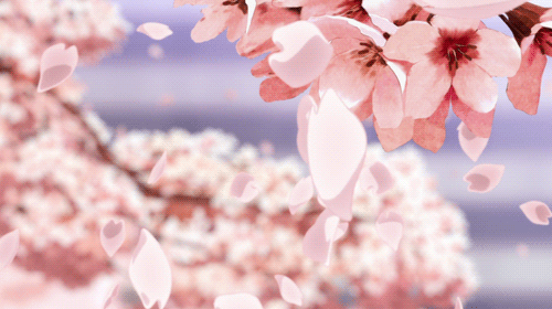 Cherry Blossom Wooloo - Free animated GIF - PicMix