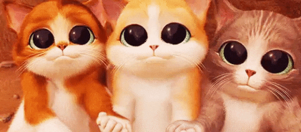Cộng đồng Steam :: :: cute cat.GIF