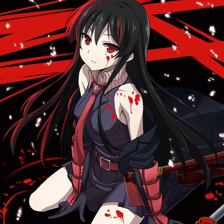 Steam Community :: :: Akame BEST